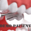_100_demo-patient